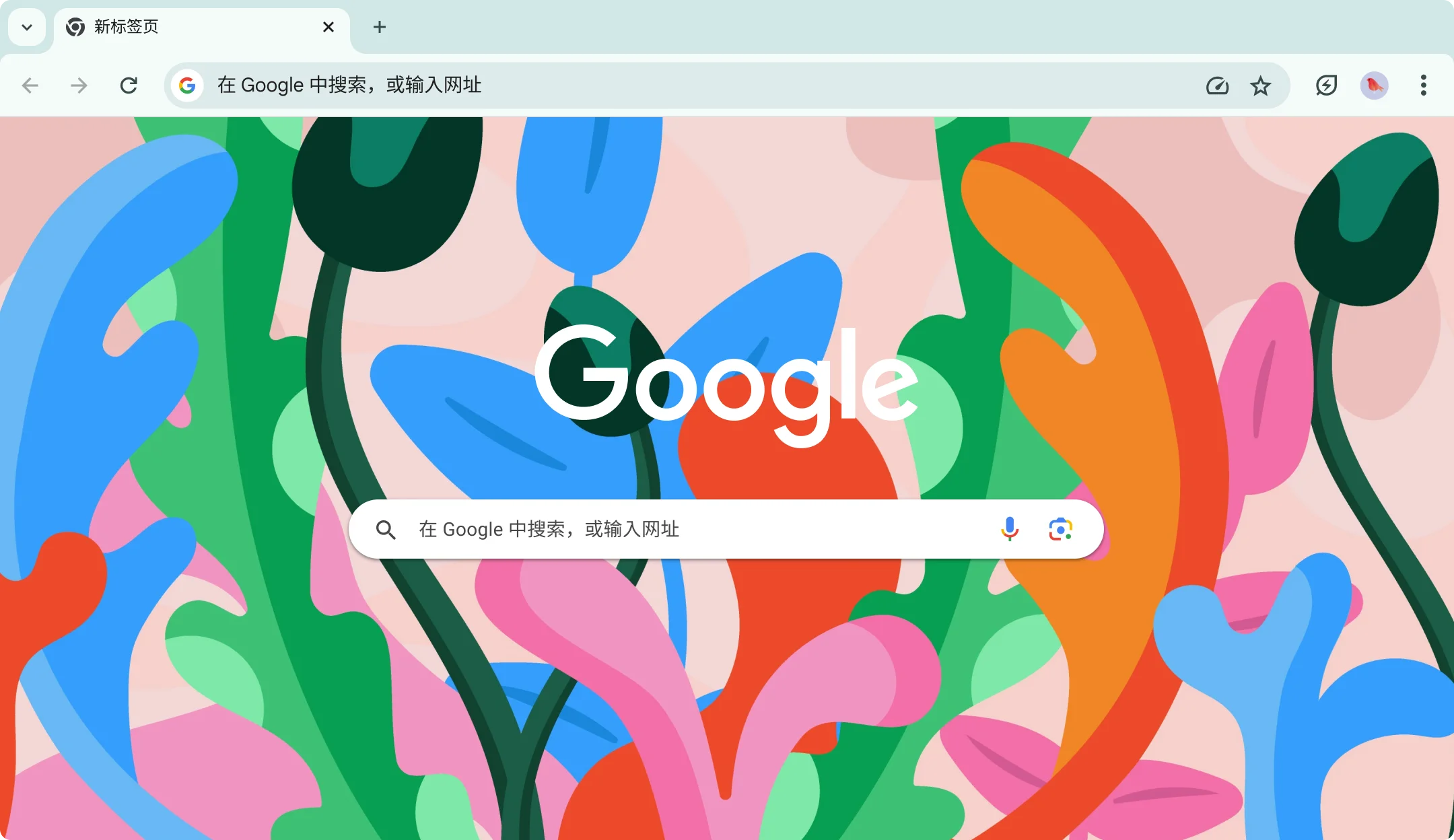 google chrome 网络浏览器