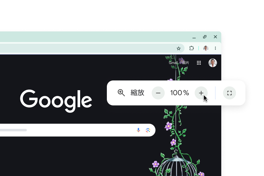 Google 首頁和顯示縮放等級設為 100% 的彈出式視窗